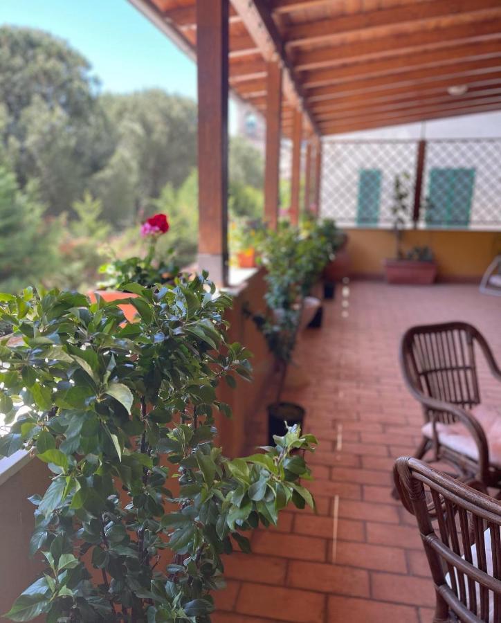 La Terrazza Dei Ciliegi Hotel Santa Maria Degli Angeli  Luaran gambar